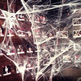 화이트 × 12개입