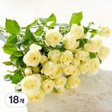 혼합색상 × 18개