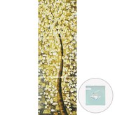 황금꽃나무 × 1세트