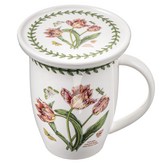 핑크패럿튤립 × 1세트