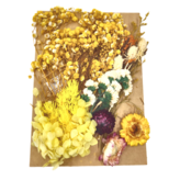 秋高氣爽 多色 × 3件