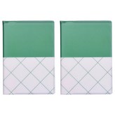 花朵 白色 + 藍色