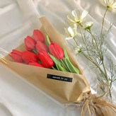 레드 × 10개