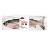 日本正宗虹鱒 多色 × 1個