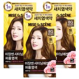 8G 밝은갈색