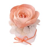 落日香檳 × 1組