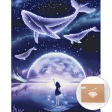 꿈꾸는고래 × 1세트