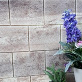 모카브라운 × 12개입