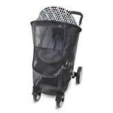 Diamond Blue × 1個