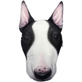 XD126T (불테리어)