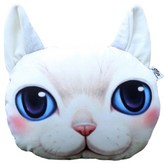 XD118T (애기화이트)