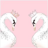 백조커플