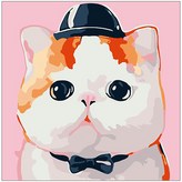 모자쓴냥이