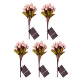 핑크베이지 × 5개