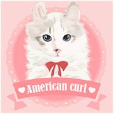 해피 아메리칸컬 × 1개