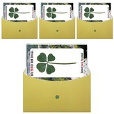 梨花女子大學 × 4入