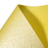 7개나리색 × 20개입