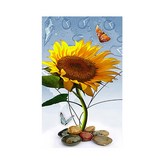 一束向日葵 × 1個