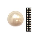 奶油黃珍珠(4mm)
