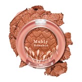 BR434 너와 나의 고백