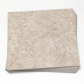 奧曼米色TI05 × 12個