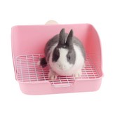 TYPE04 粉紅色 × 1個