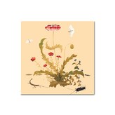 신사임당 양귀비초충도(PK01) × 1개