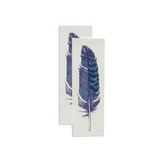 BLUE JAY FEATHER