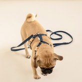 深海軍藍 × 1個