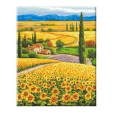 해바라기마을 × 1세트