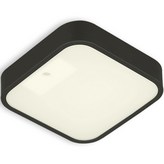 주백색(블랙) × 1개