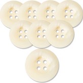 아이보리브레인 × 8개