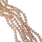 透明焦糖色 × 69個