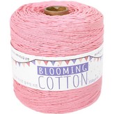 35 印度粉 × 1個