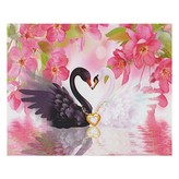 11 블랙앤화이트 × 1세트