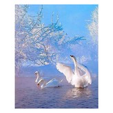 14 구애포즈 × 1세트