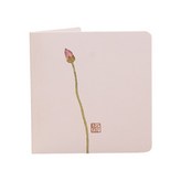 類型 2 × 100個