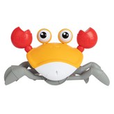 혼합색상 × 1개