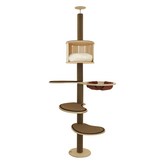 브라운 × 1세트