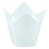 白色素色 × 1套