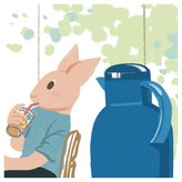 男朋友(B36) × 1個