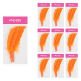 橘色 × 10個
