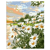 데이지 × 1세트