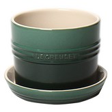 朝鮮薊綠 × 1個