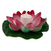 더블꽃잎레드 × 1개