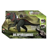 혼합색상 × 1개