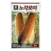 혼합색상 × 1개