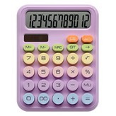 라이트 퍼플 × 1개