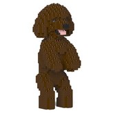 다크 브라운 × 1개