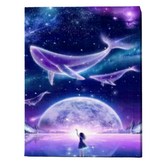 01 고래이야기 × 1세트